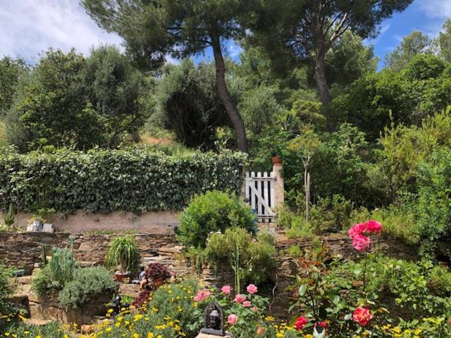 Logement Zen Sur La Colline Aux Mimosas Hyères Zewnętrze zdjęcie